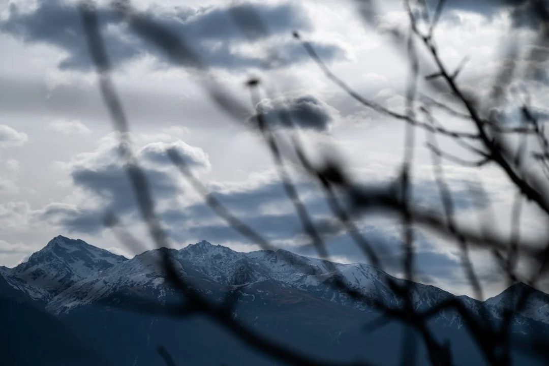 Bazi Can Bazi Help Improve Major Life Decisions? chinese metaphysics illustration abstract energy