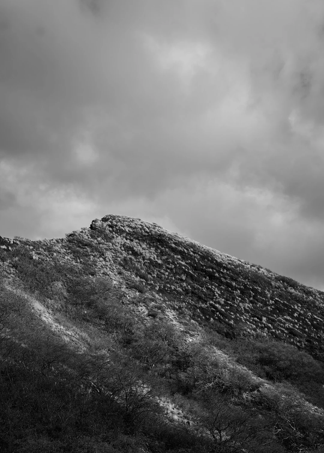 Bazi Can Bazi Reveal Hidden Opportunities in Life? chinese metaphysics illustration zen style