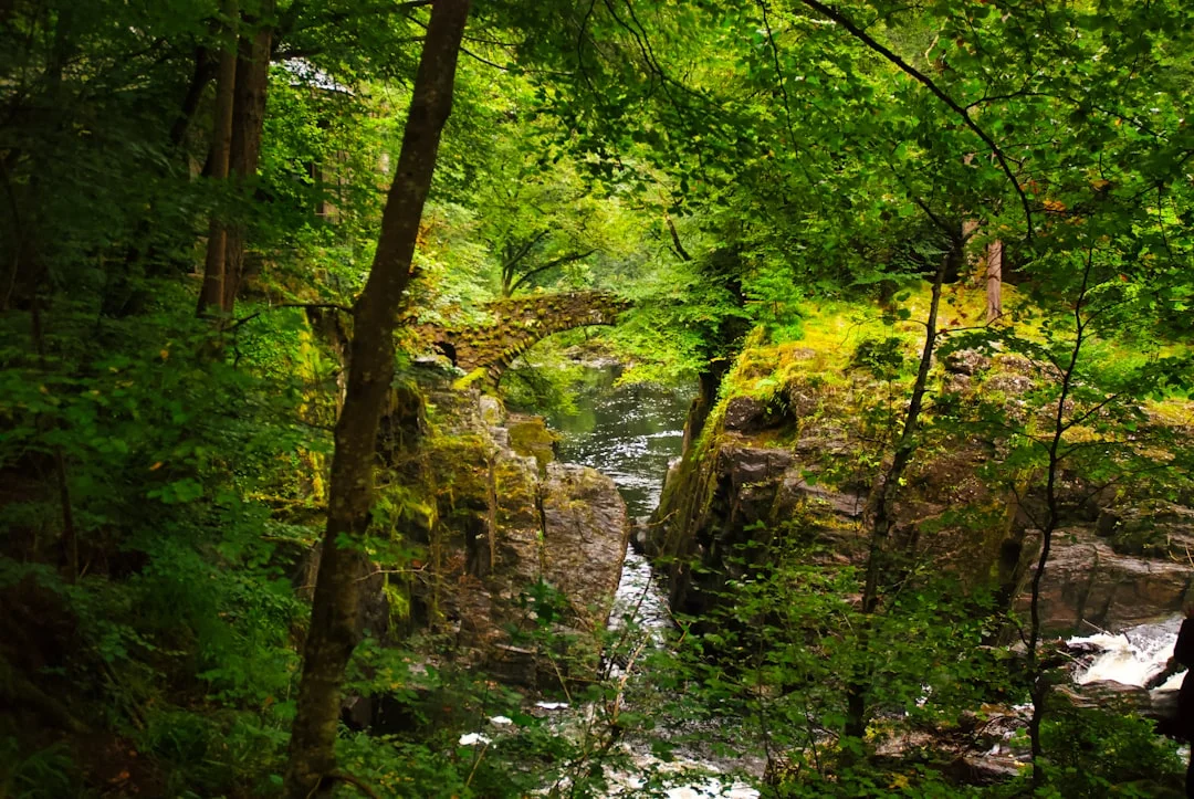 Bazi Can Bazi Reveal Hidden Opportunities in Life? chinese metaphysics illustration abstract energy