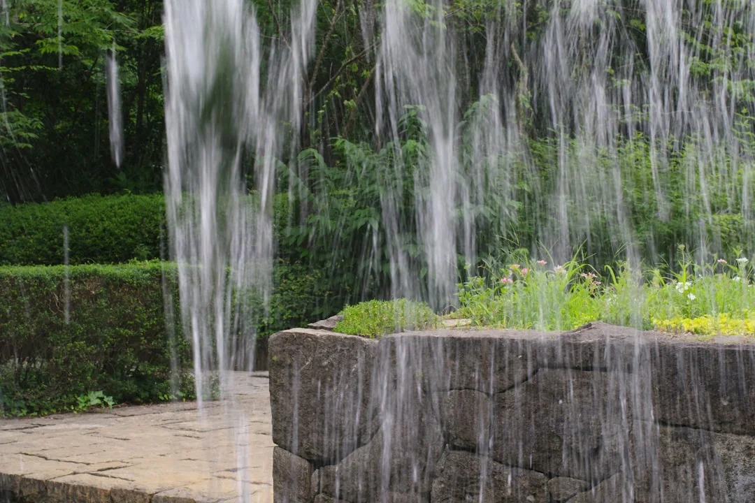 propósito de vida verdadero ¿Puede el Bazi Revelar Tu Propósito de Vida Verdadero? chinese metaphysics illustration zen style