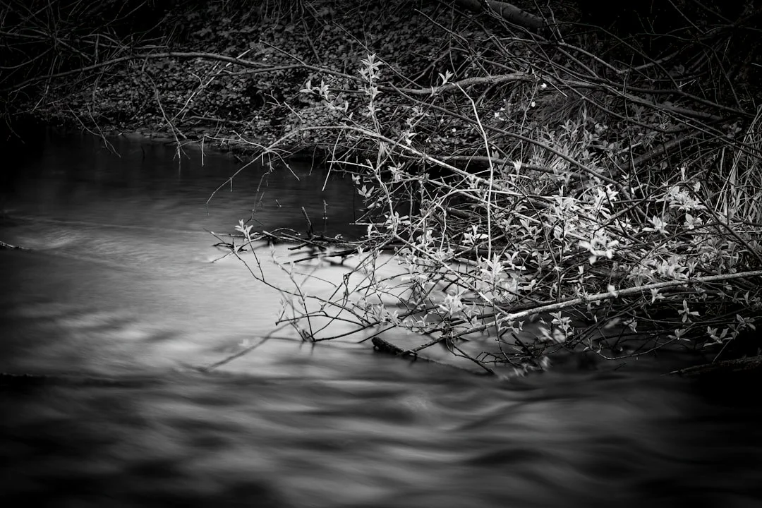 propósito de vida verdadero ¿Puede el Bazi Revelar Tu Propósito de Vida Verdadero? chinese metaphysics illustration abstract energy