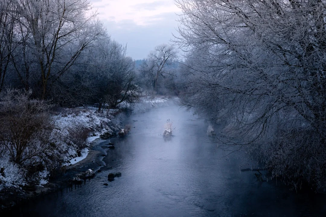 Bazi self-discovery How Can Bazi Help You Understand Yourself Better? chinese metaphysics illustration abstract energy