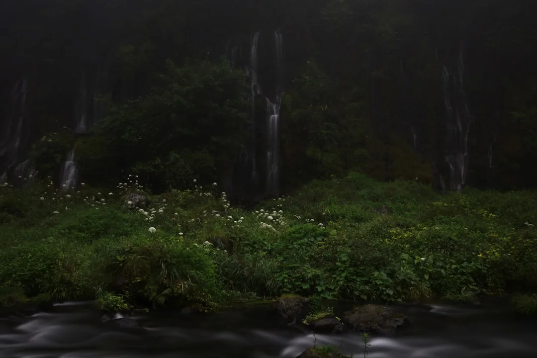 Bazi relationship challenges How Can Bazi Predict Relationship Challenges? chinese metaphysics illustration zen style