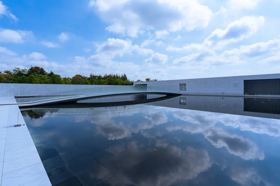 Bazi attraction patterns How Can Bazi Reveal Attraction Patterns? chinese metaphysics illustration abstract energy