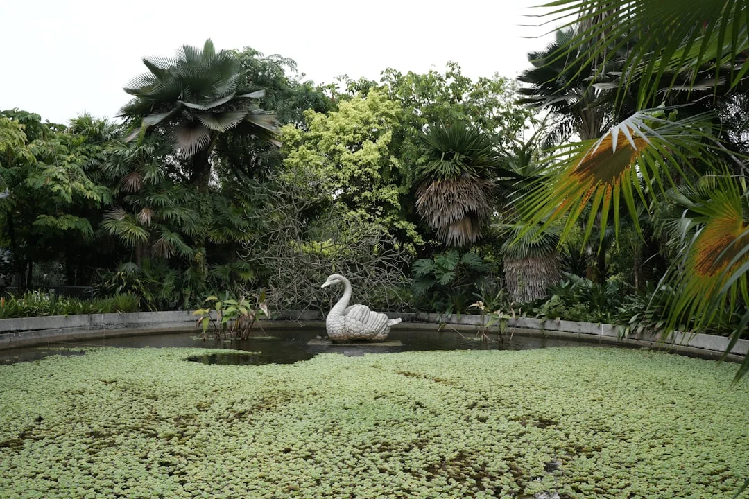 Bazi Necesidades Emocionales ¿Cómo Revela Bazi las Necesidades Emocionales? chinese metaphysics illustration abstract energy