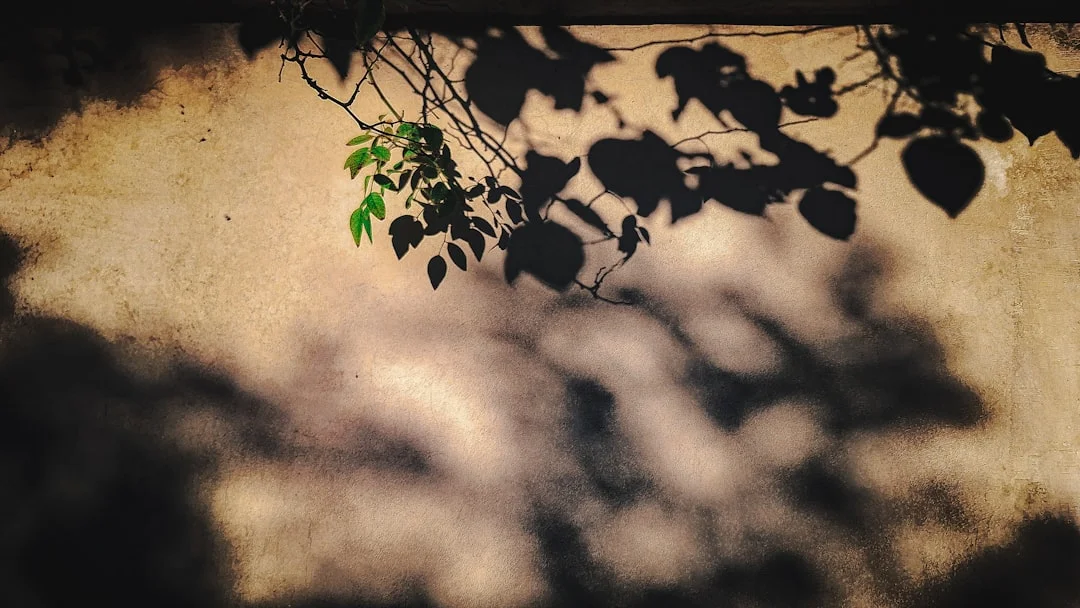 Patrones de relación Bazi Patrones de Relación Bazi Revelados: Desbloquea Dinámicas Ocultas chinese metaphysics illustration zen style