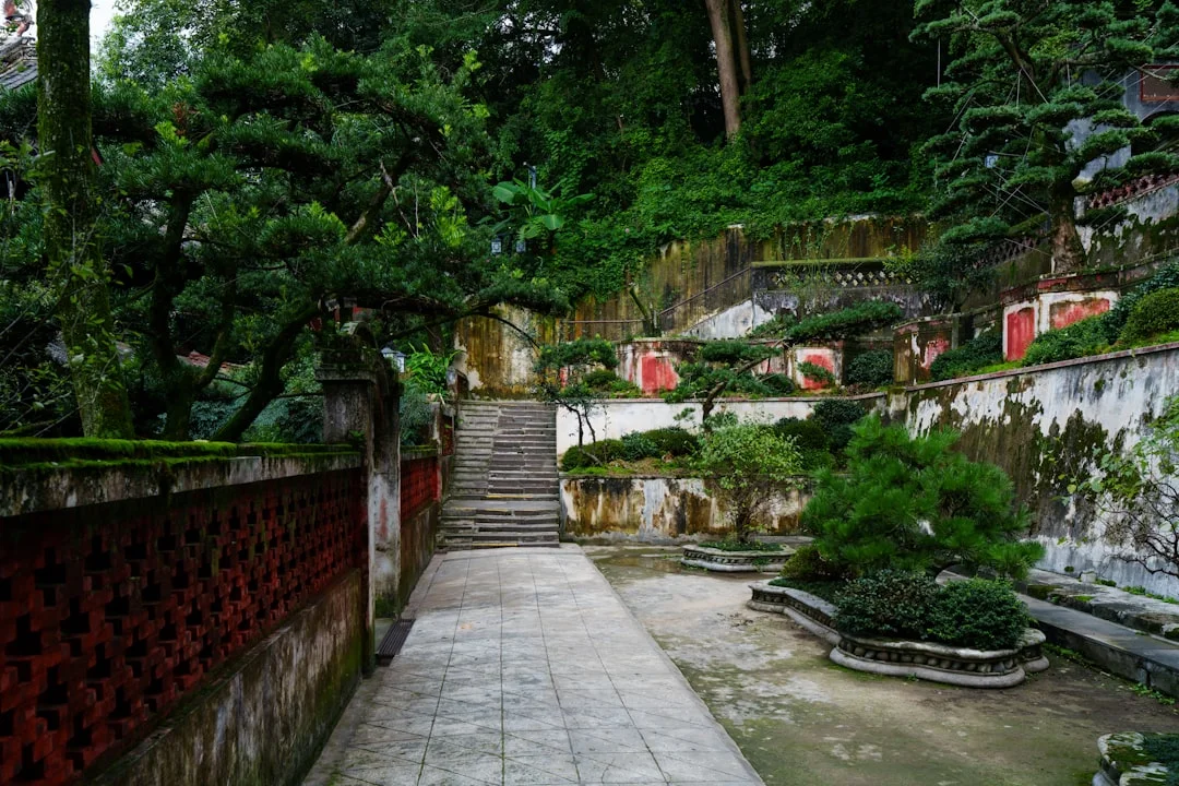 Bazi motivación personal Desbloqueando la motivación personal con Bazi: Una aproximación metafísica chinese metaphysics illustration zen style