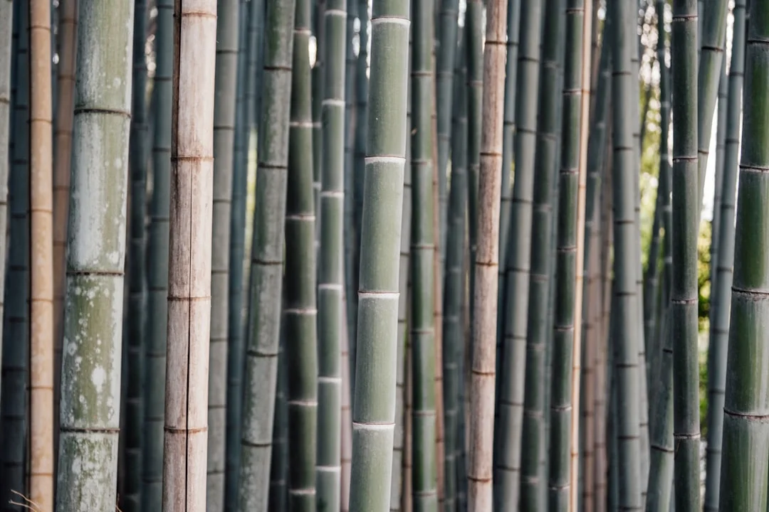 Bazi motivación personal Desbloqueando la motivación personal con Bazi: Una aproximación metafísica chinese metaphysics illustration abstract energy