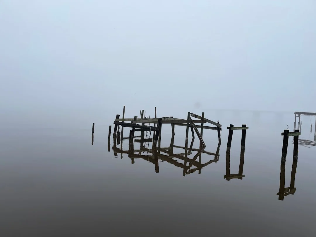 Bazi natural advantages How Can Bazi Reveal Your Natural Advantages? chinese metaphysics illustration zen style