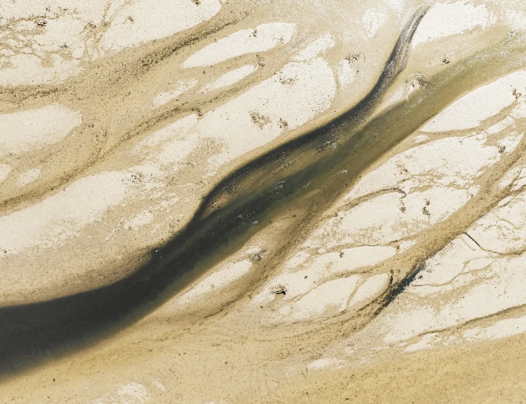 Análisis de Destino Análisis de Destino: Mejora Decisiones de Vida con Precisión chinese metaphysics illustration zen style