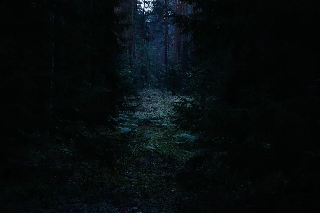 Destiny Charts How Can Destiny Charts Reveal Future Strengths? chinese metaphysics illustration zen style