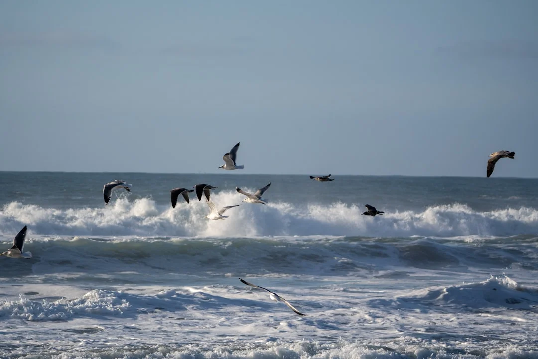 Ciclos de los Elementos Dirección de la Vida ¿Cómo los Ciclos de los Elementos influyen en la dirección y el destino de la vida chinese metaphysics illustration zen style