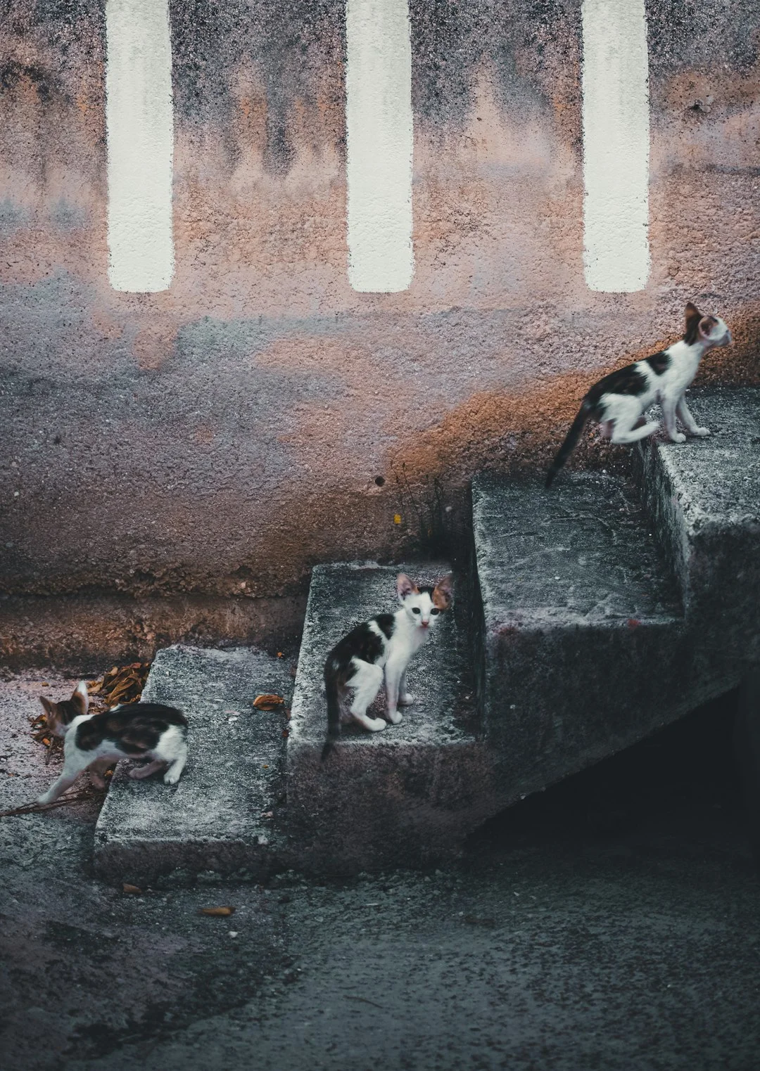 pilares de la suerte oportunidades laborales Desbloquea Oportunidades Laborales con Pilares de la Suerte chinese metaphysics illustration zen style