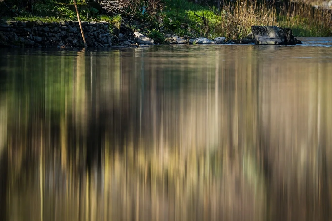 Transformación Personal Desbloqueando la Transformación Personal con Gráficos chinese metaphysics illustration abstract energy