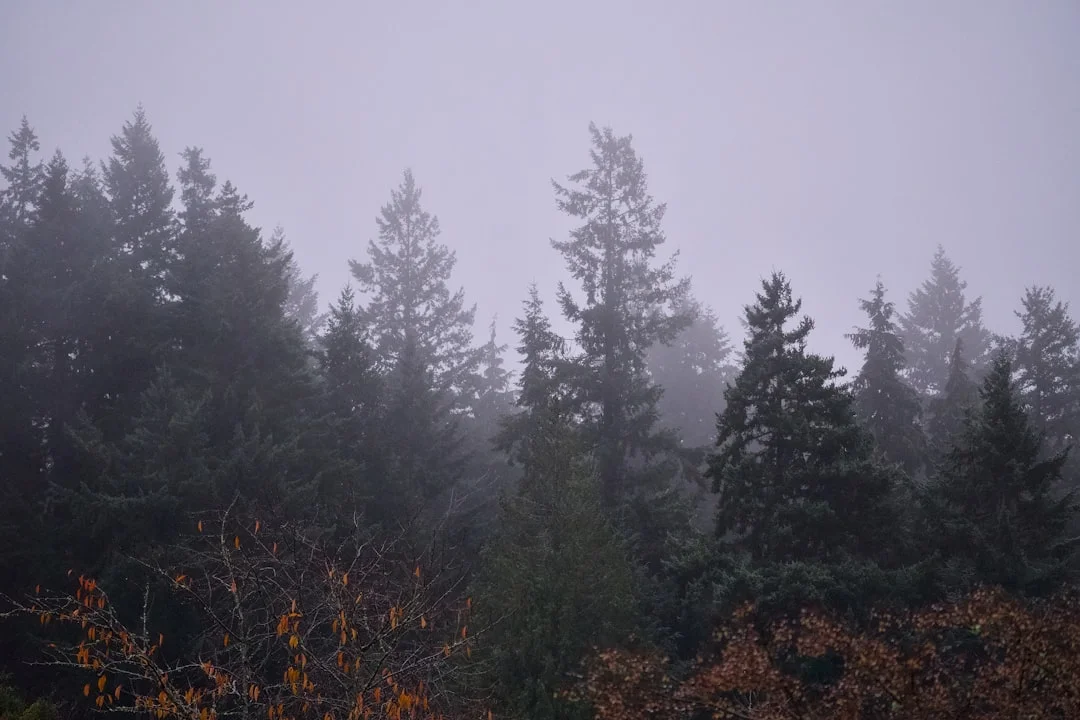 chart energy transformations How Do Combinations Transform Chart Energy? chinese metaphysics illustration zen style