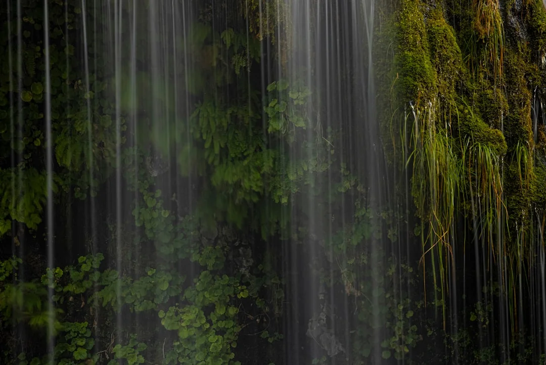 Conflictos de elementos Cómo los conflictos de elementos afectan los ciclos de la suerte en la metafísica de Bazi chinese metaphysics illustration zen style