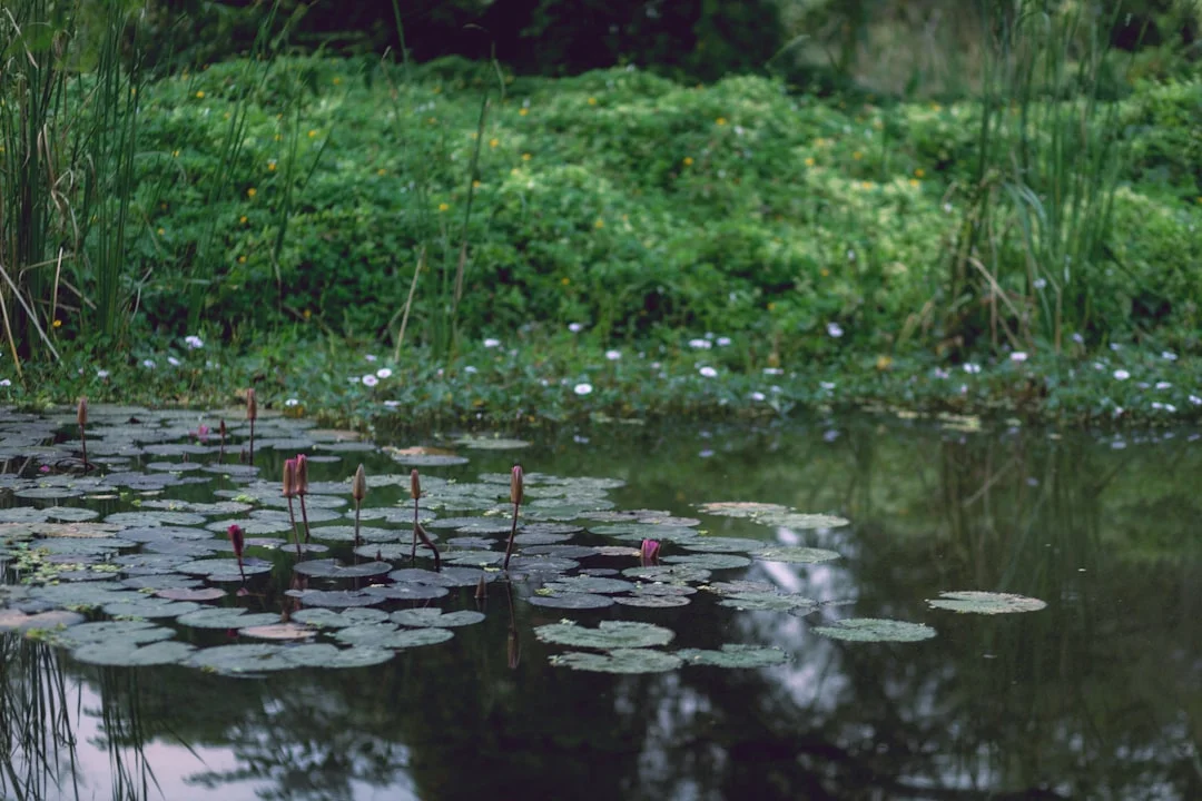 Conflictos de elementos Cómo los conflictos de elementos afectan los ciclos de la suerte en la metafísica de Bazi chinese metaphysics illustration abstract energy