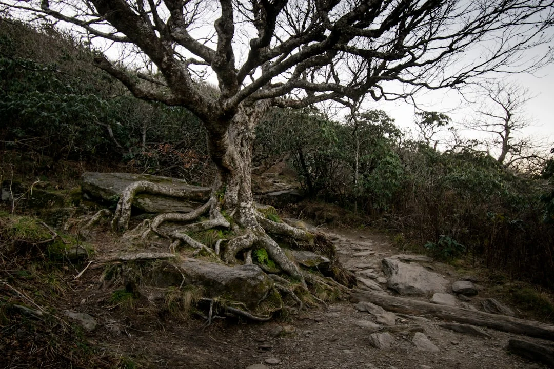 element conflicts How Do Element Conflicts Create Life Challenges? chinese metaphysics illustration abstract energy