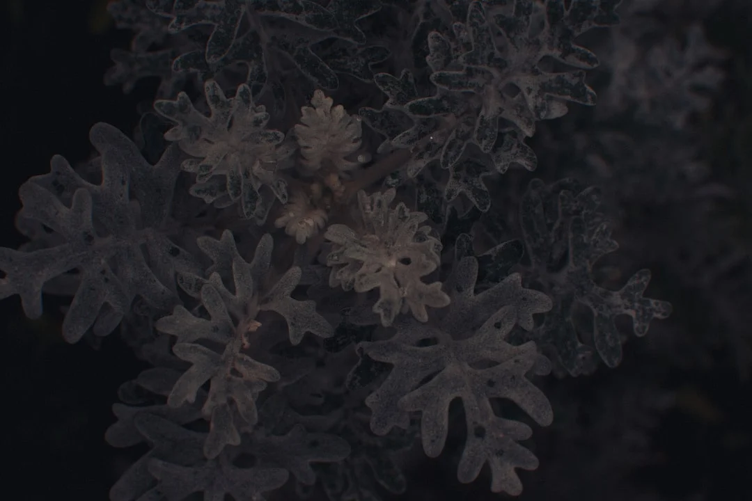 element cycles influence life events How Do Element Cycles Influence Life Events? chinese metaphysics illustration zen style