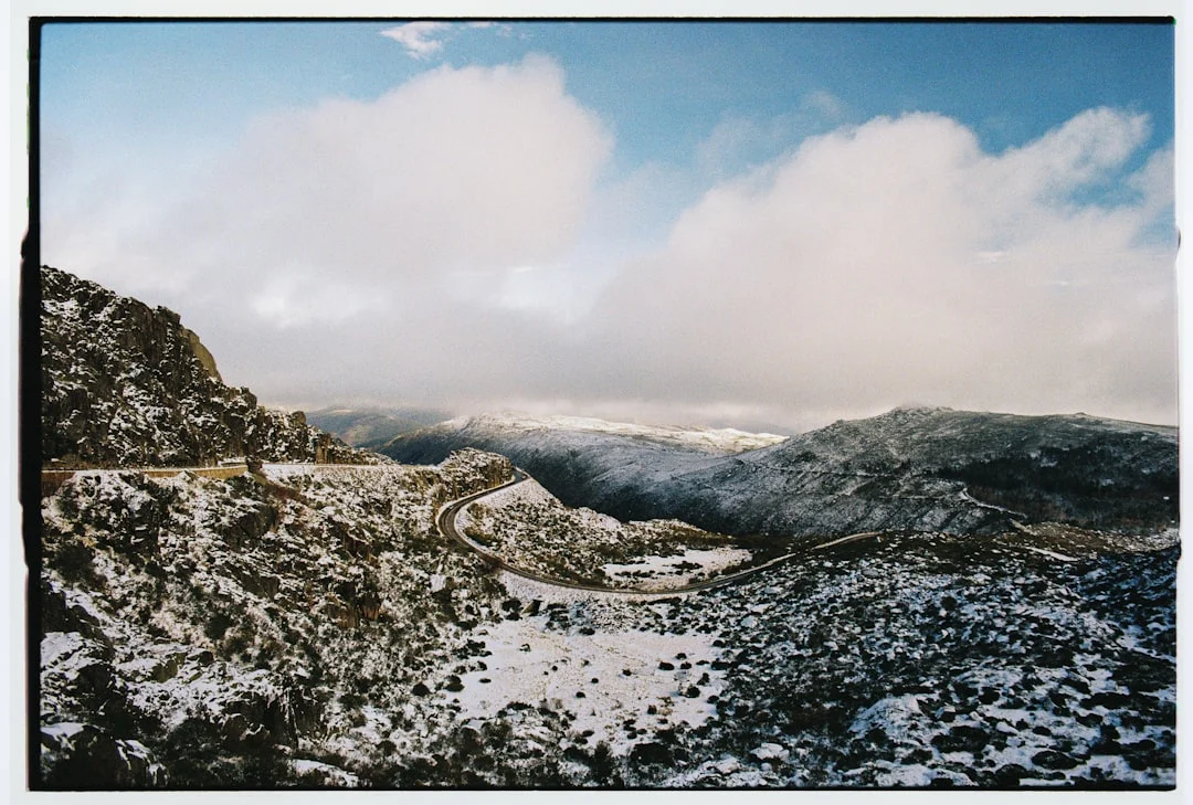 Bazi elements confidence levels How Do Elements Influence Confidence Levels? chinese metaphysics illustration abstract energy