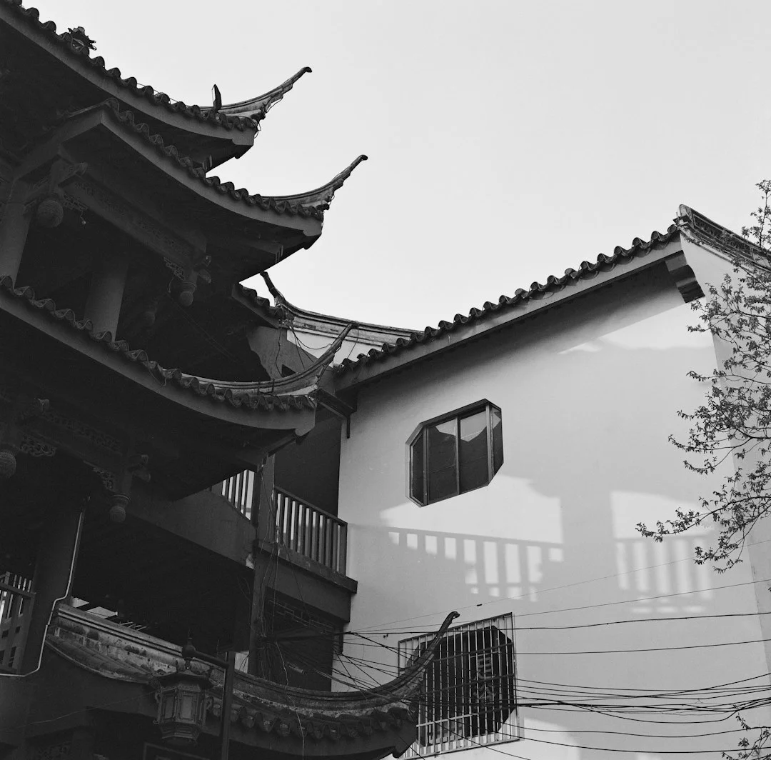 Gráficos Bazi Poderosos Cómo Expertos Identifican Gráficos Bazi Poderosos para el Destino chinese metaphysics illustration zen style