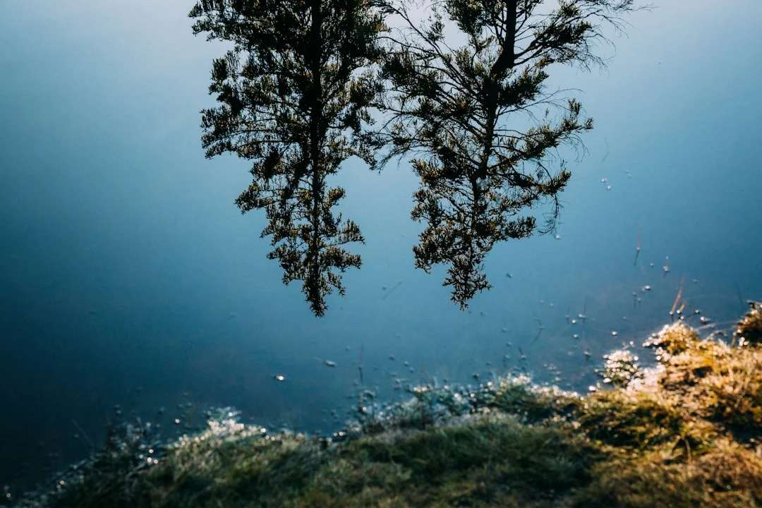 ciclos de suerte favorable Ciclos de Suerte Favorable y Nuevas Oportunidades: Desbloquea Tu Destino chinese metaphysics illustration zen style