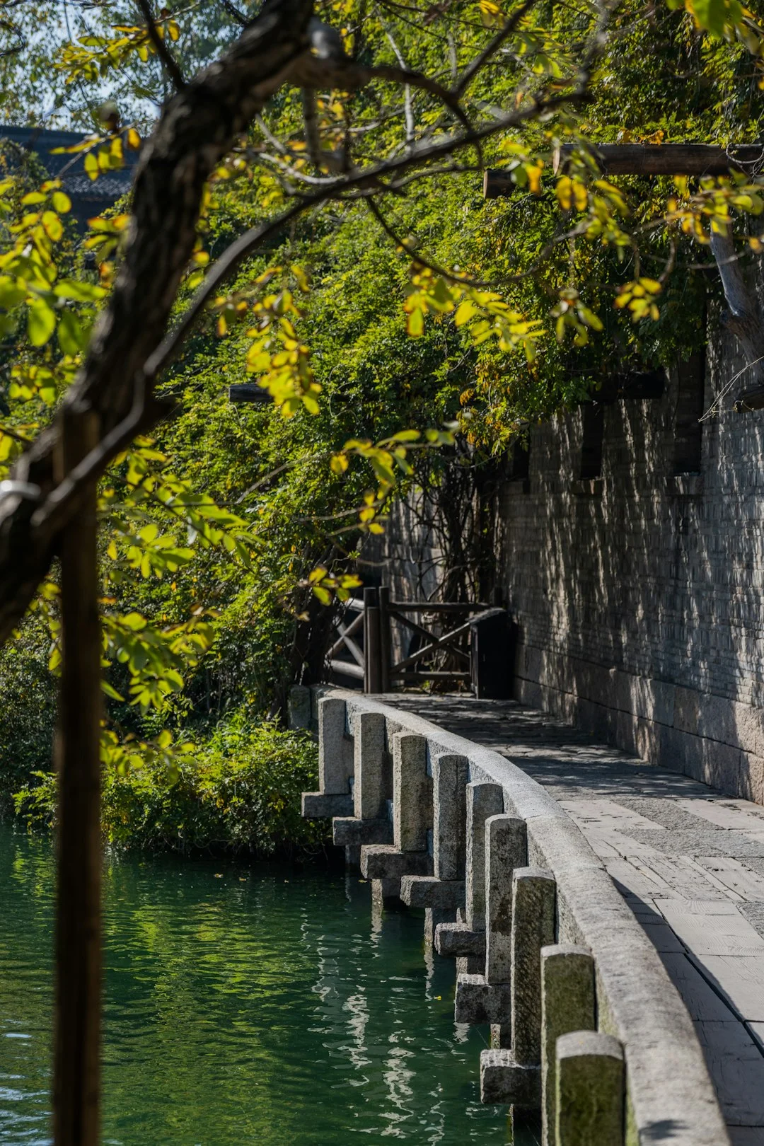 Luck Cycles Love Life How Do Luck Cycles Affect Love Life? chinese metaphysics illustration zen style