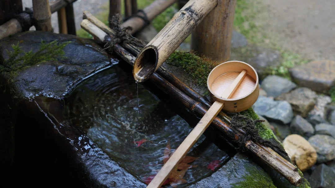 Bazi relationship conflicts How Does Bazi Explain Relationship Conflicts? chinese metaphysics illustration zen style