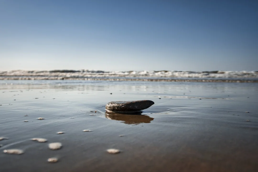 Special Bazi Chart Structures What Are Special Bazi Chart Structures? chinese metaphysics illustration zen style