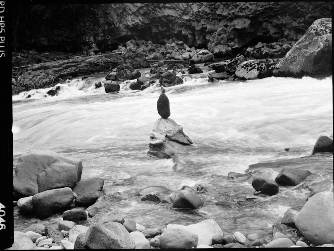 Most Powerful Element Combinations What Are the Most Powerful Element Combinations? chinese metaphysics illustration zen style