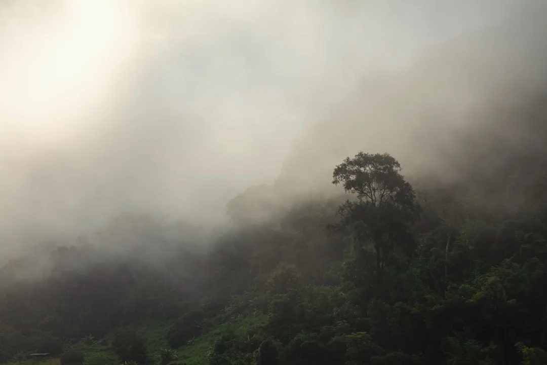 Oportunidades de crecimiento de Bazi Desbloquea el crecimiento con patrones de Bazi: Oportunidades por delante chinese metaphysics illustration abstract energy