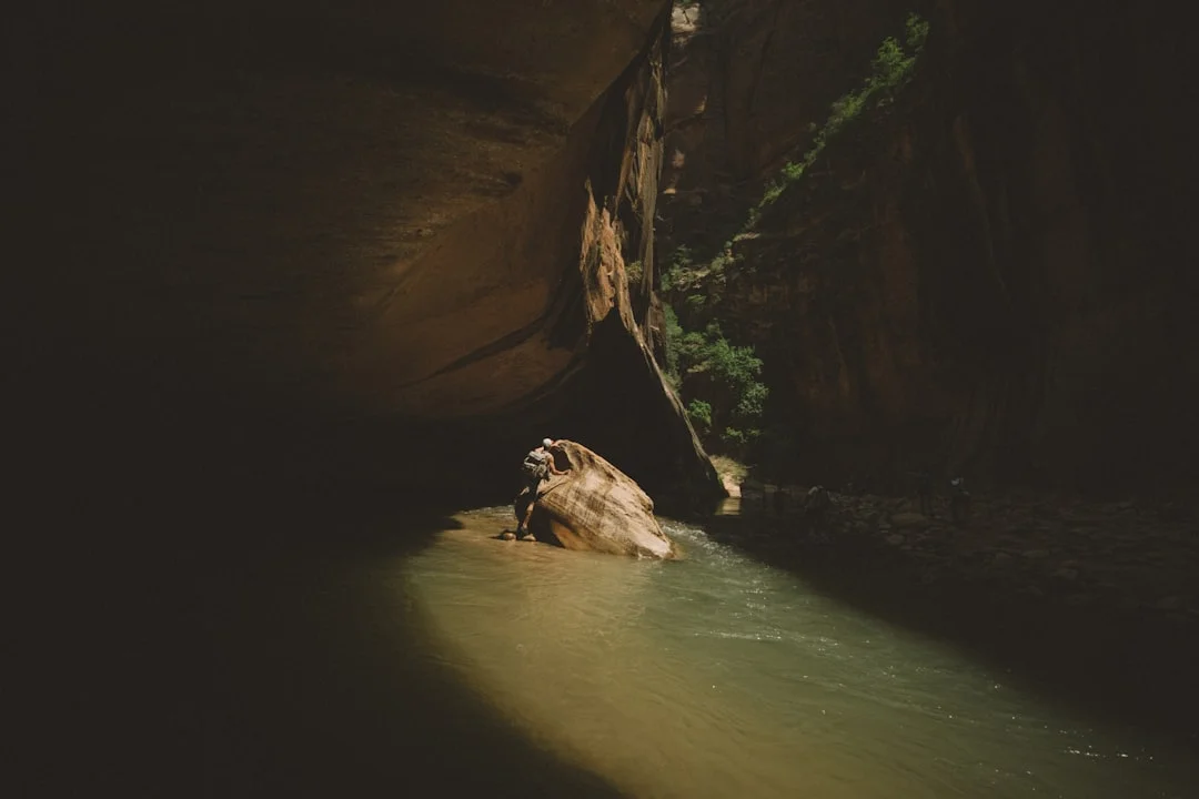 patrones Bazi energía de la vida ¿Qué patrones Bazi revelan sobre la energía de la vida chinese metaphysics illustration zen style