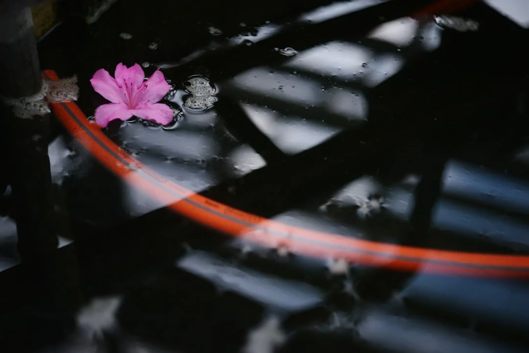 Signos Bazi para el Crecimiento de la Relación Signos Bazi para el Crecimiento y el Éxito en las Relaciones chinese metaphysics illustration zen style