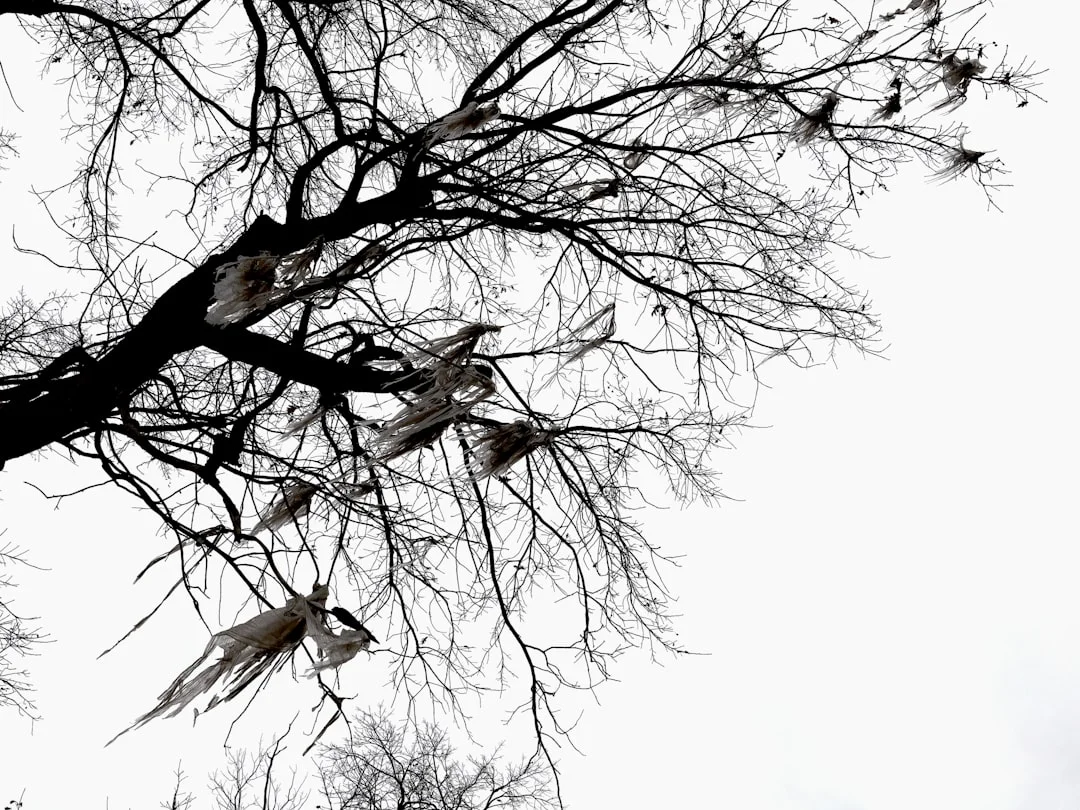 Signos Bazi para el Crecimiento de la Relación Signos Bazi para el Crecimiento y el Éxito en las Relaciones chinese metaphysics illustration abstract energy