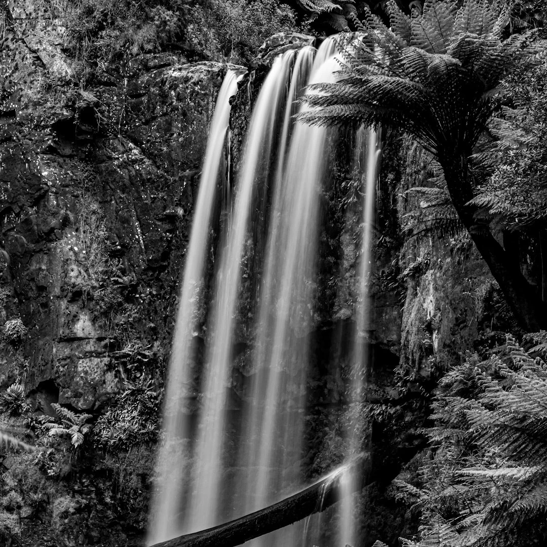 Bazi signs stable life path What Bazi Signs Suggest a Stable Life Path? chinese metaphysics illustration abstract energy