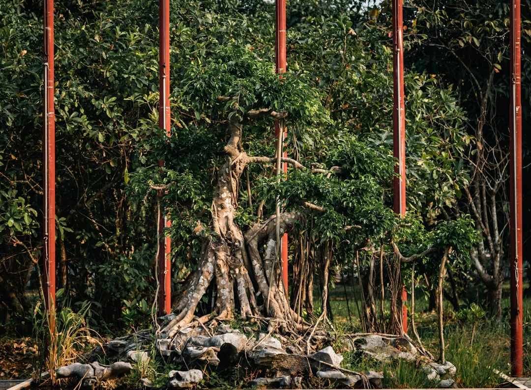 Bazi What Can Bazi Luck Cycles Reveal About Major Life Changes? chinese metaphysics illustration zen style