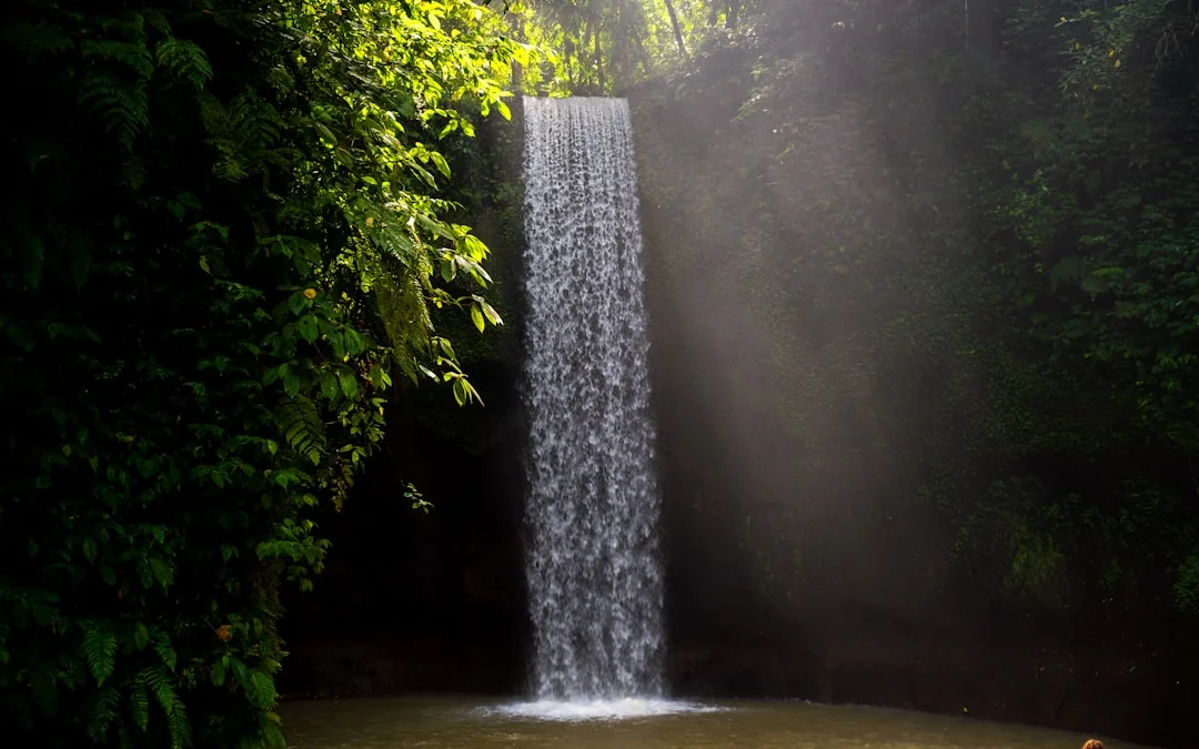 Elemento Maestro Carrera Desbloquea tu destino profesional con ¿Qué carrera me conviene cada día? Elemento Maestro chinese metaphysics illustration abstract energy