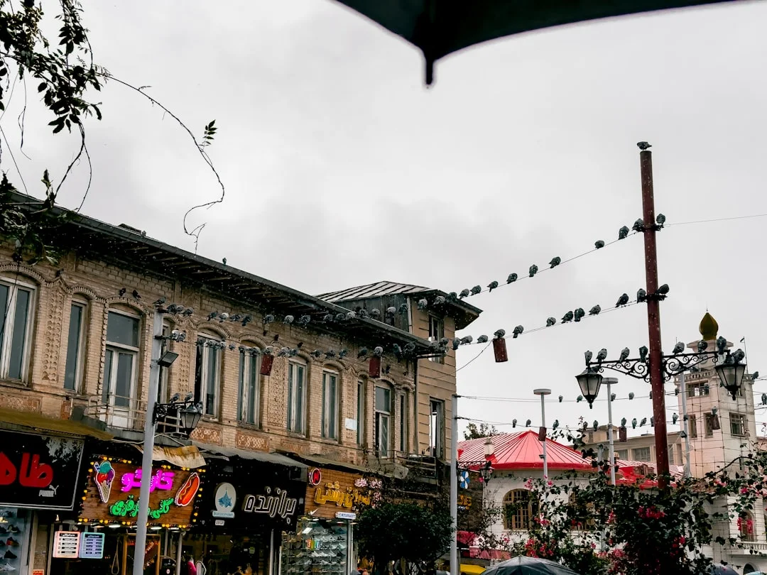 Personalidades Creativas Descubre Personalidades Creativas con lo que Sugieren los Gráficos chinese metaphysics illustration abstract energy