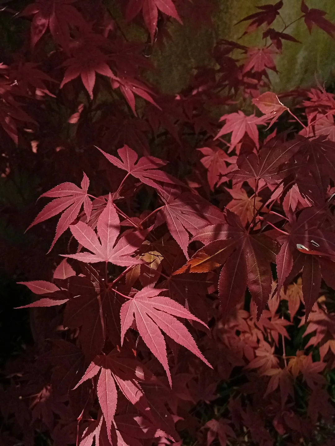 Resistencia mental ¿Qué indican las gráficas sobre una sólida resistencia mental? chinese metaphysics illustration zen style