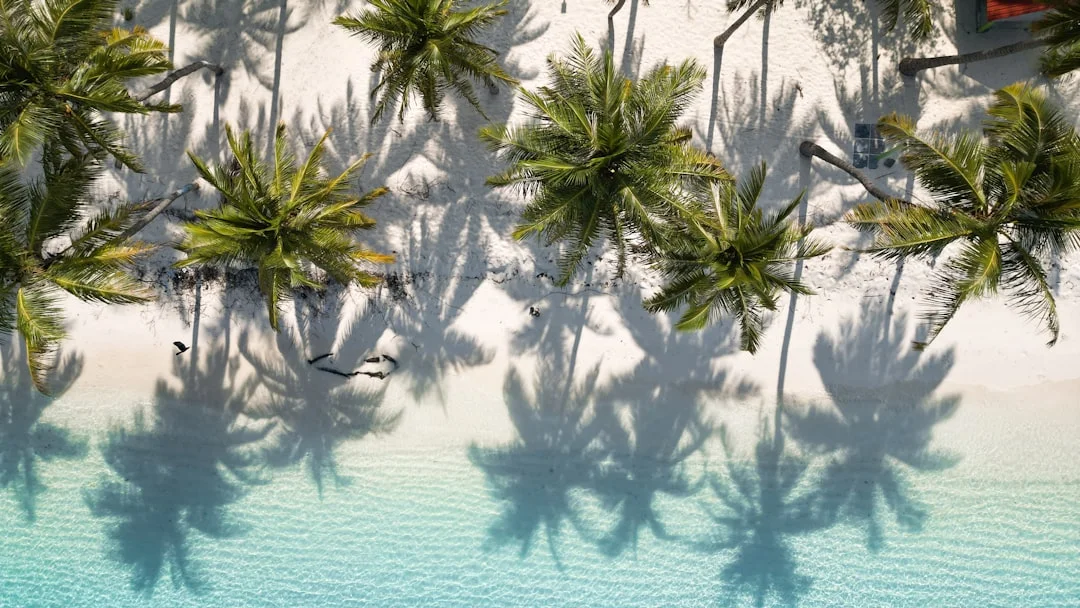 Pilar de Buena Suerte Favorable ¿Cómo se ve un Pilar de Buena Suerte Favorable en la Metafísica de Bazi? chinese metaphysics illustration abstract energy