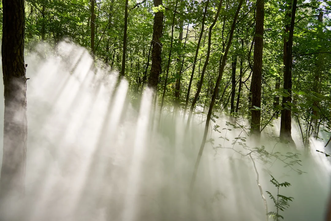 Evolución personal Bazi Desbloqueando la Evolución Personal con Bazi chinese metaphysics illustration abstract energy