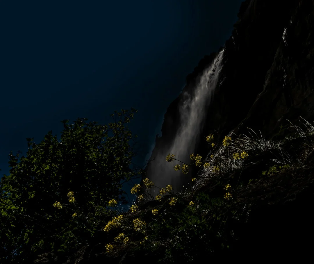 balanced bazi chart What Makes a Bazi Chart Balanced? chinese metaphysics illustration abstract energy