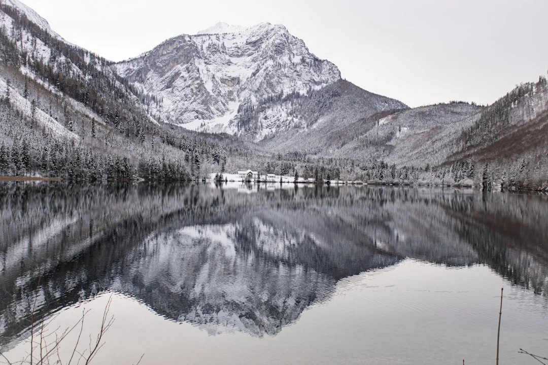 Caminos Destino Únicos Desbloquear Caminos Destino: Factores Únicos Revelados chinese metaphysics illustration zen style