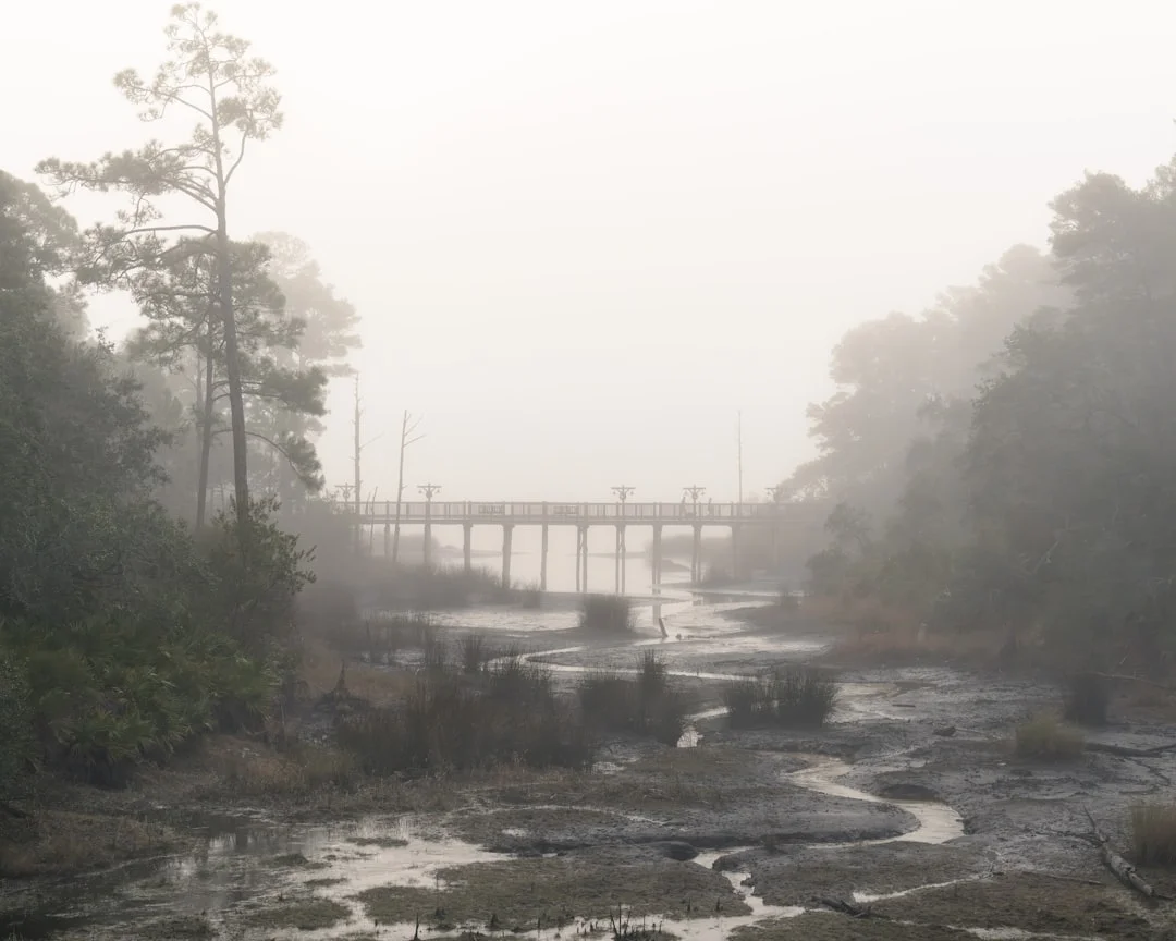 Fortalezas de Personalidad Enlazadas con Cada Elemento Desbloquee las Fortalezas de la Personalidad con Cada Elemento chinese metaphysics illustration zen style