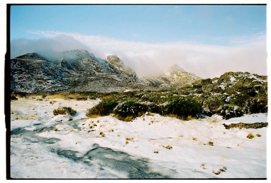 Chart de Bazi Rasgos de Personalidad ¿Cuáles son los rasgos de personalidad que se pueden ver en un Chart de Bazi? chinese metaphysics illustration abstract energy