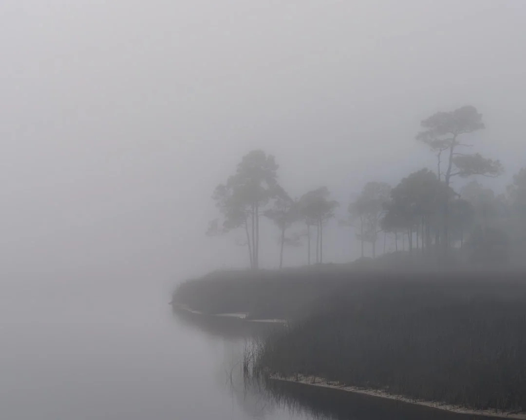 Bazi chart interpretation Why Are Some Bazi Charts Hard to Interpret? chinese metaphysics illustration abstract energy