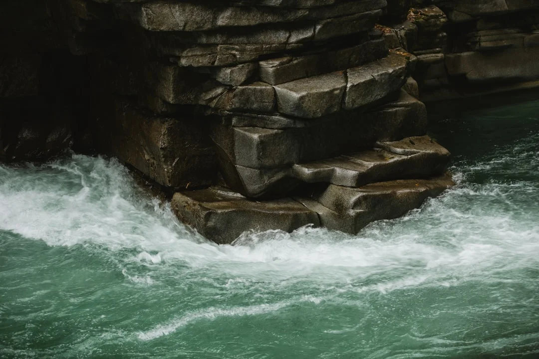 Bazi ambición Descubriendo la Ambición Natural: Vistas de Bazi chinese metaphysics illustration zen style