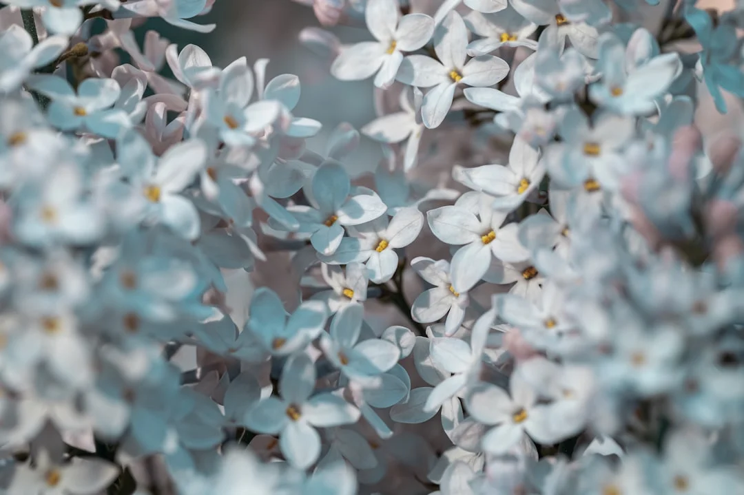 Natural Optimism Why Are Some People Naturally Optimistic? chinese metaphysics illustration abstract energy