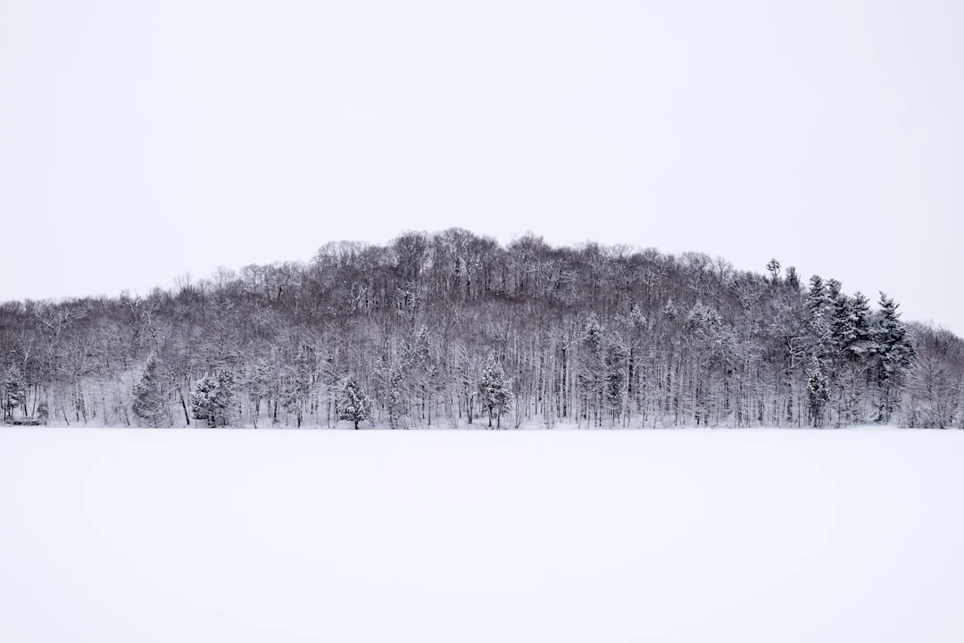 life journey progress Why Do Some Life Journeys Progress Slowly? chinese metaphysics illustration abstract energy