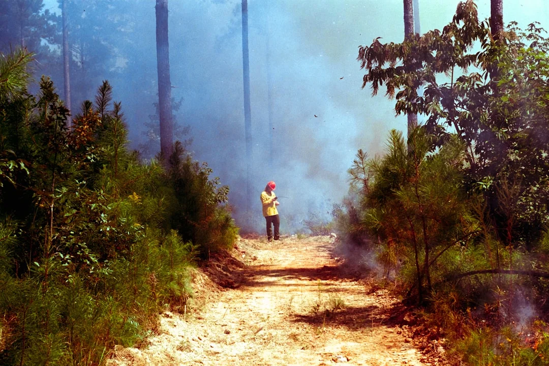 adaptarse al cambio ¿Por qué algunas personas se adaptan rápidamente al cambio? chinese metaphysics illustration abstract energy